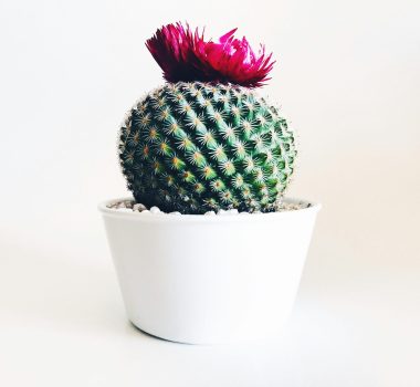 Transform Your Space with Trendy Home Decor Products Transform Your Space with Trendy Home Decor Products